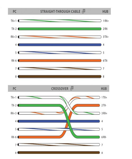 568A Wiring Diagram from www.brothers-ycable.com.cn