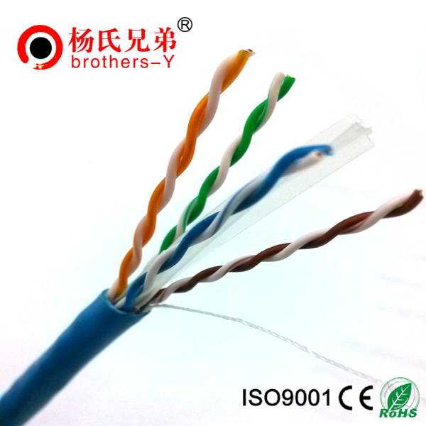 brothers-Y cat6 utp pass fluke lan cable