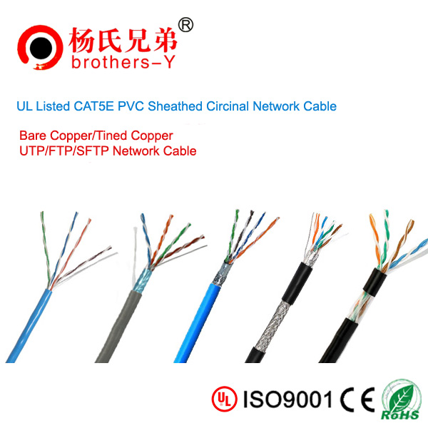 wholesaler network cable from shenzhen